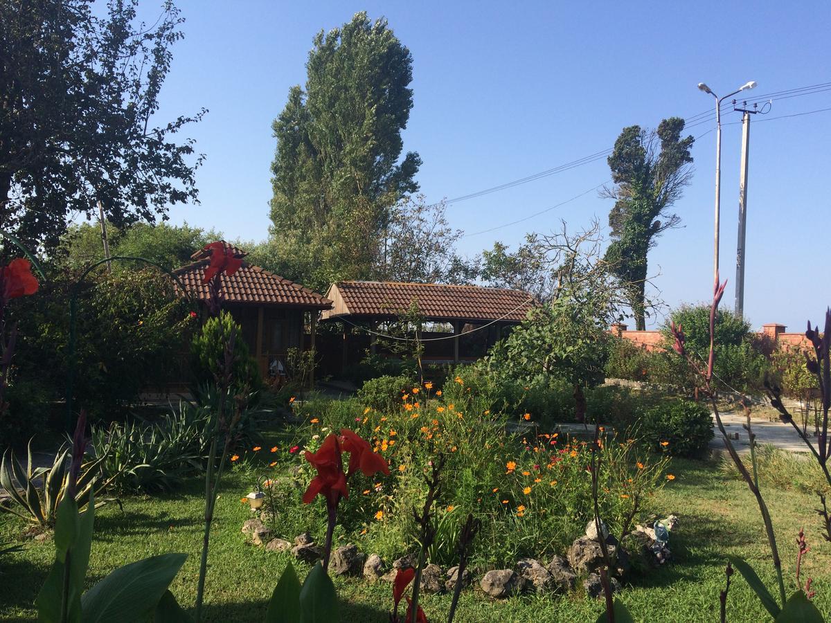 Гостевой Дом "Сария" Hotel Alakhadzi Exterior photo