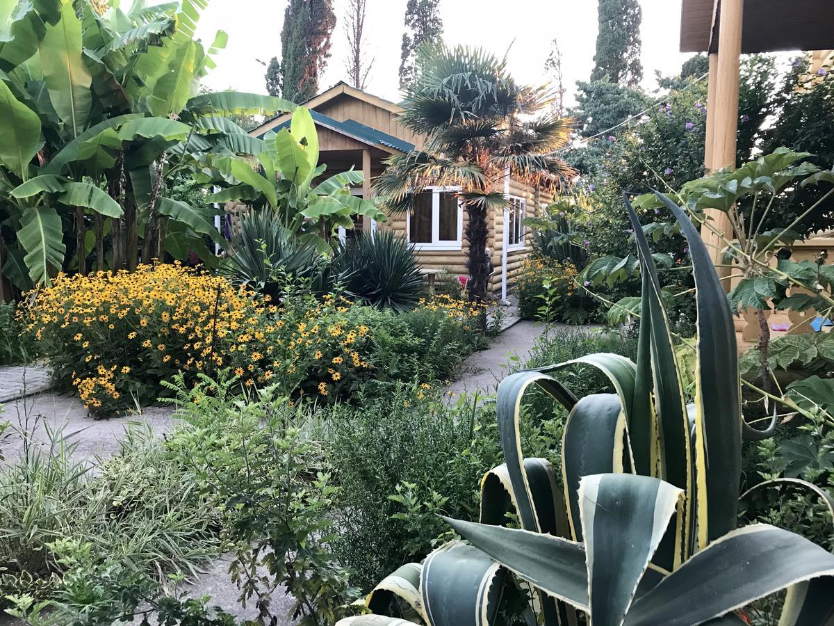 Гостевой Дом "Сария" Hotel Alakhadzi Exterior photo